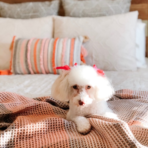 Meet your Posh Ambassador, Gabby! - Picture 8 of 8